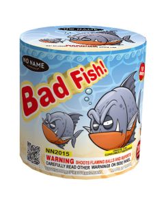 nn2015-bad-fish